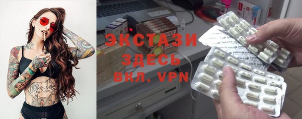 ECSTASY Бородино