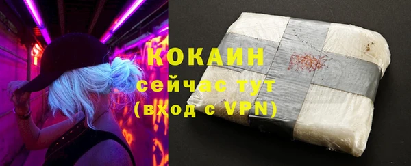 ECSTASY Бородино