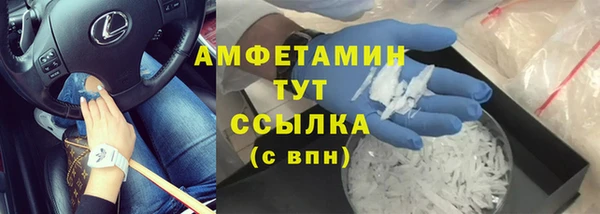 ECSTASY Бородино
