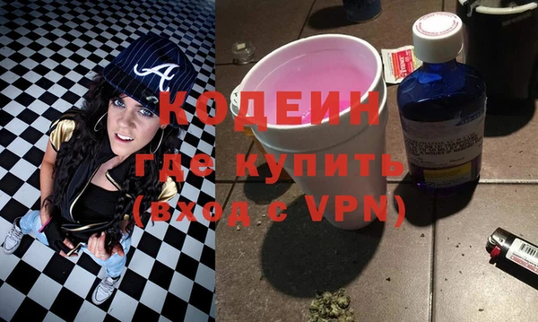 ECSTASY Бородино