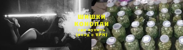 ECSTASY Бородино