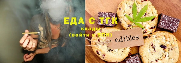 ECSTASY Бородино