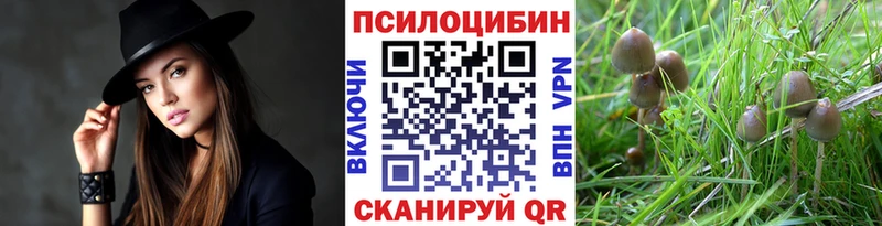 как найти   Выборг  нарко площадка официальный сайт  Псилоцибиновые грибы Cubensis 